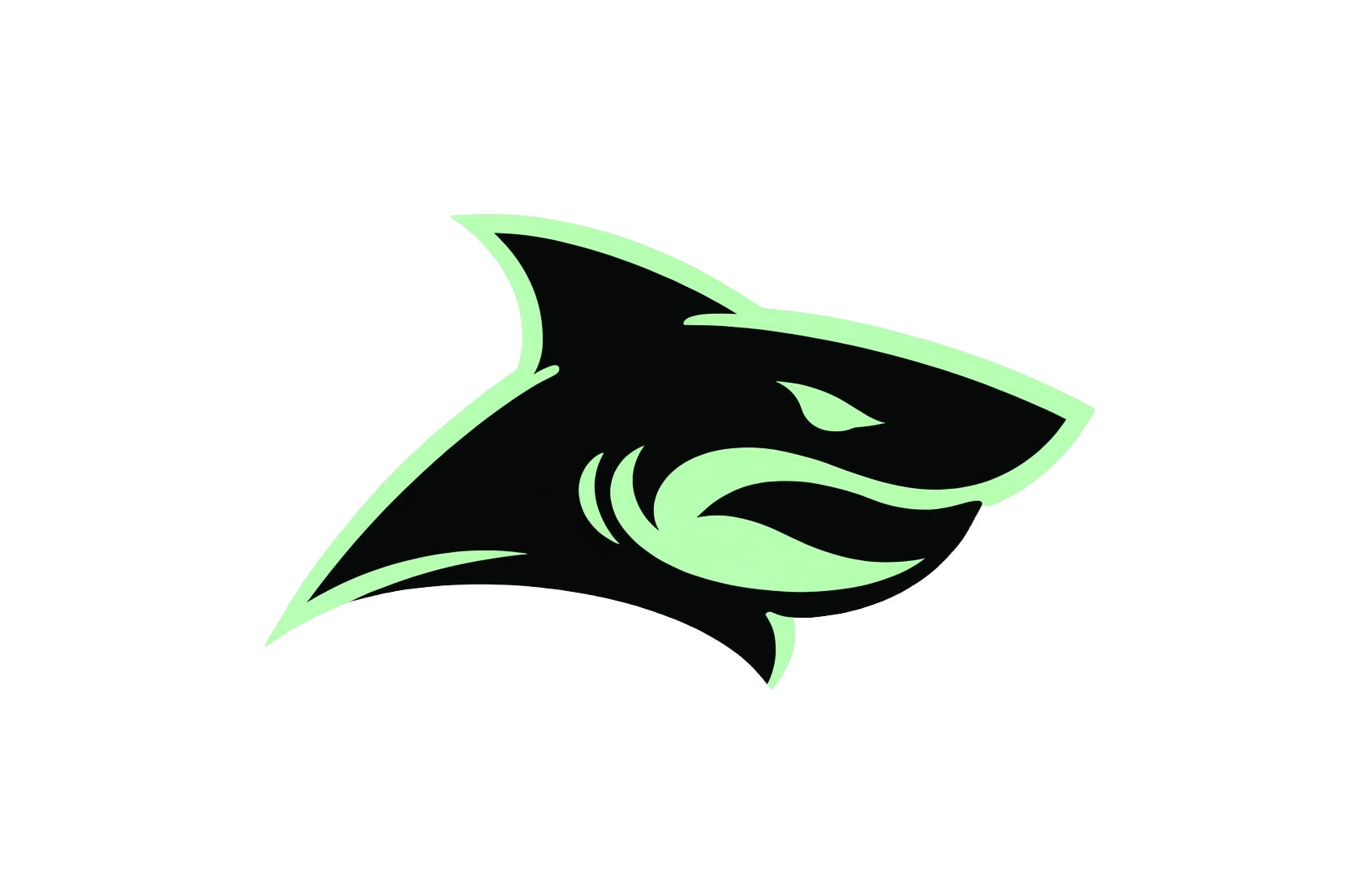 Cybershark Logo