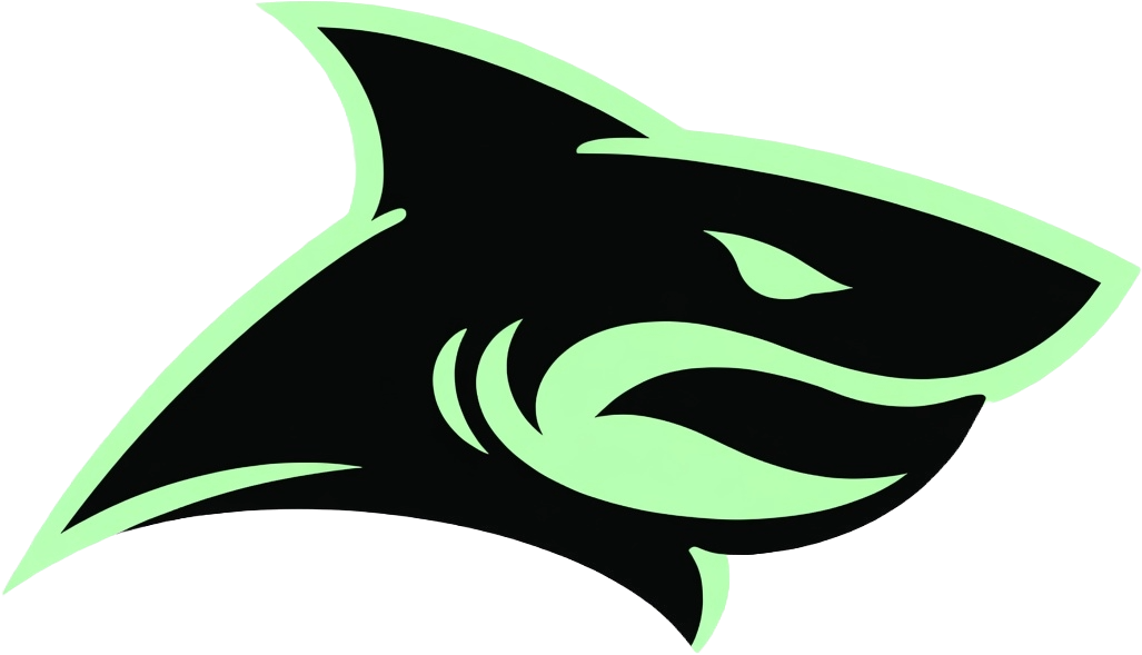 Cybershark Logo